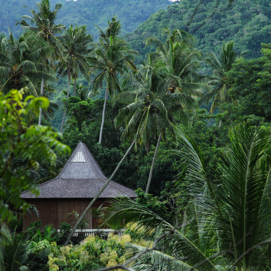 Bali les immanquables