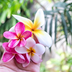 Bali solo travel girl