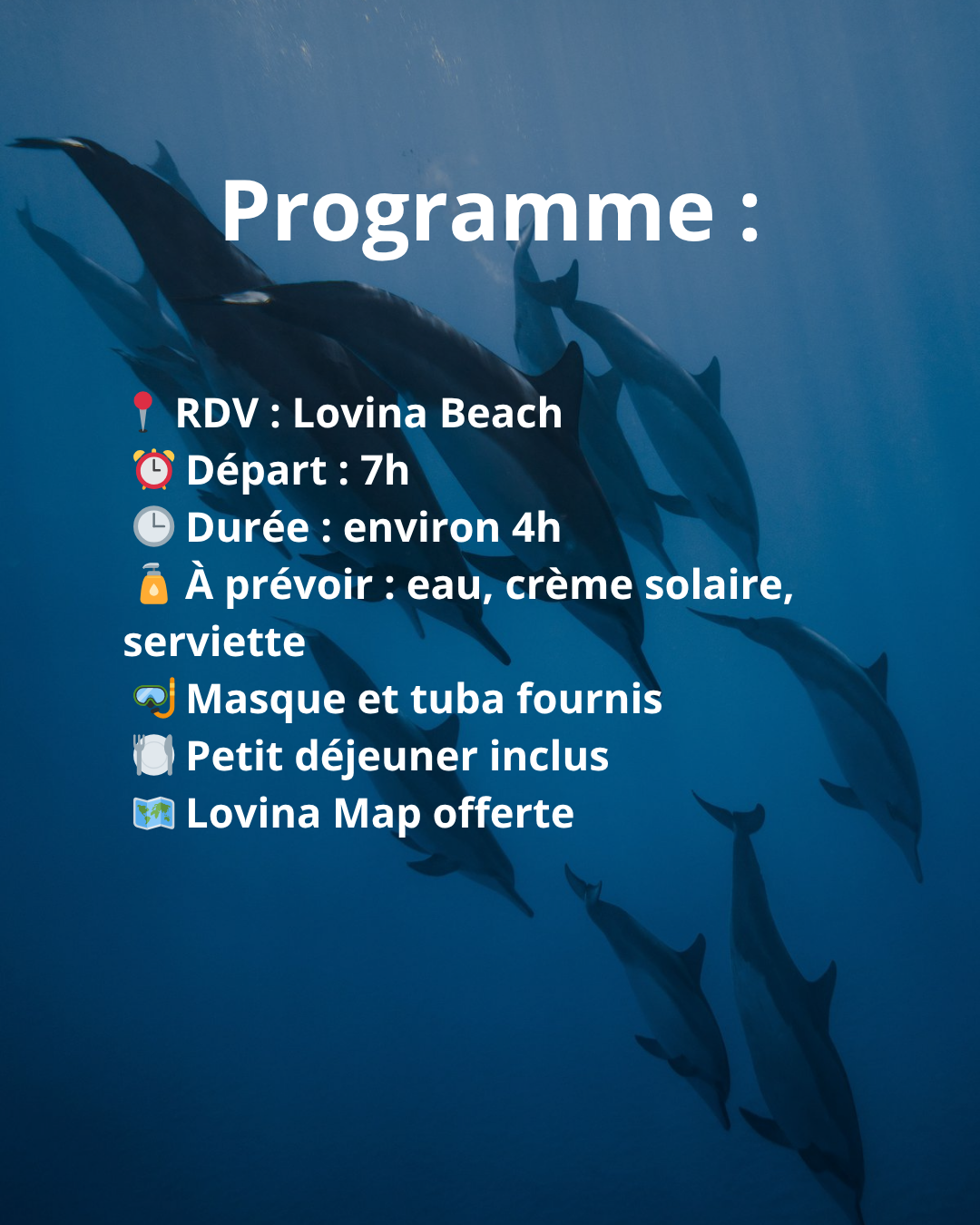 Sortie dauphins à Lovina