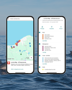 Sortie dauphins à Lovina