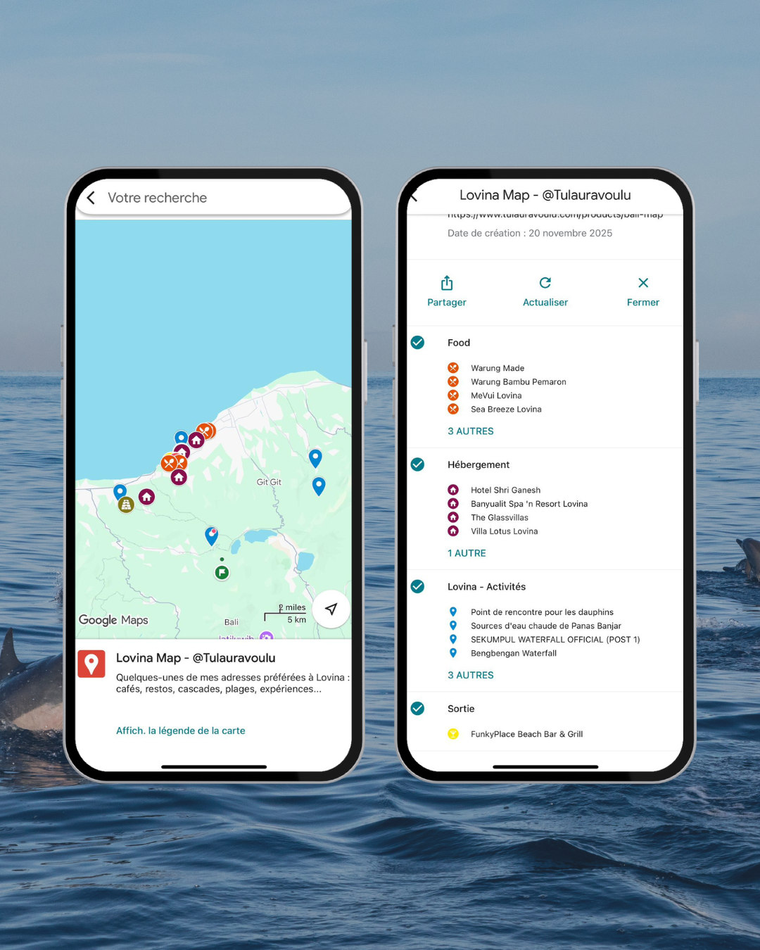 Sortie dauphins à Lovina