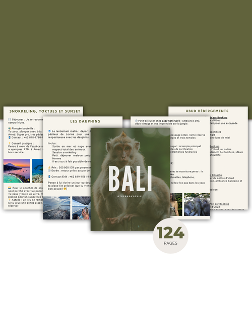 Bali les immanquables