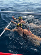 Sortie dauphins à Lovina